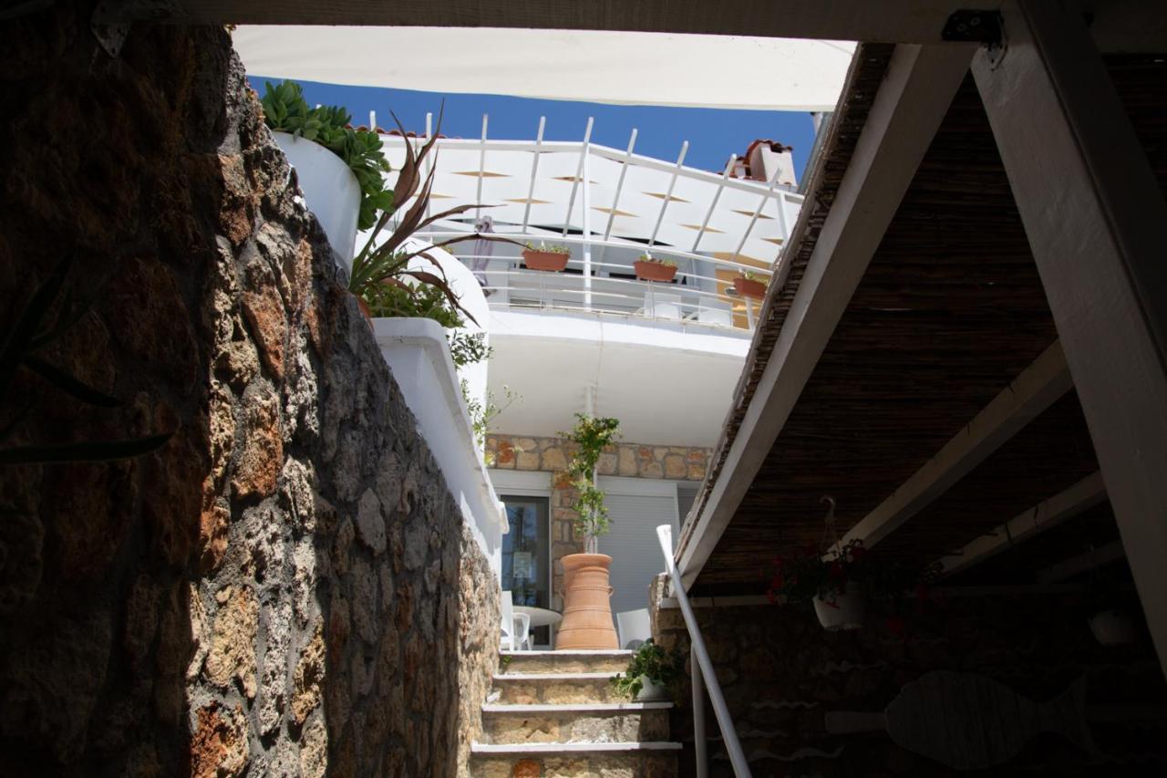 The Ocean Beach House 아기아 파라스케비 외부 사진